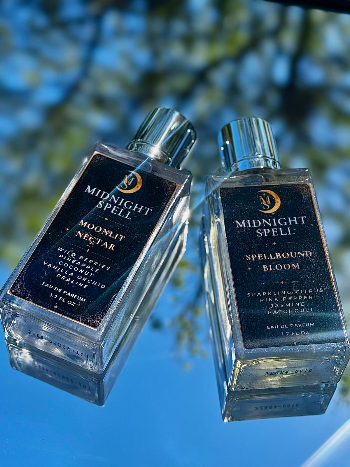 Moonlit Nectar 🌙